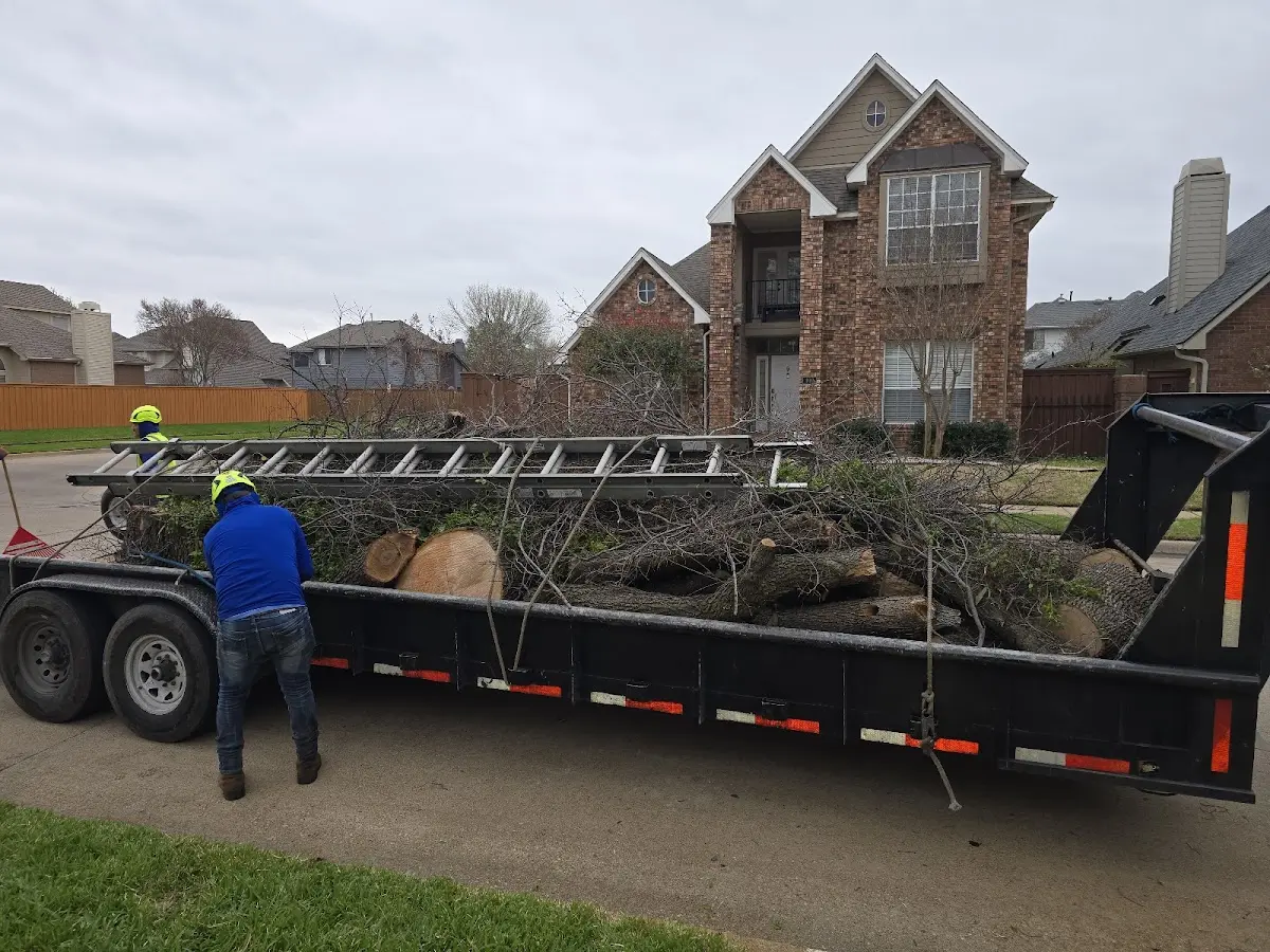 Expert Lot Clearing with proper safety equipment in Lester